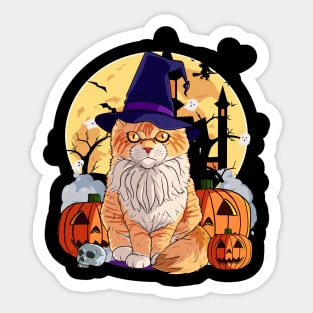 Maine Coon Cat Cute Witch Halloween Pumpkin Sticker